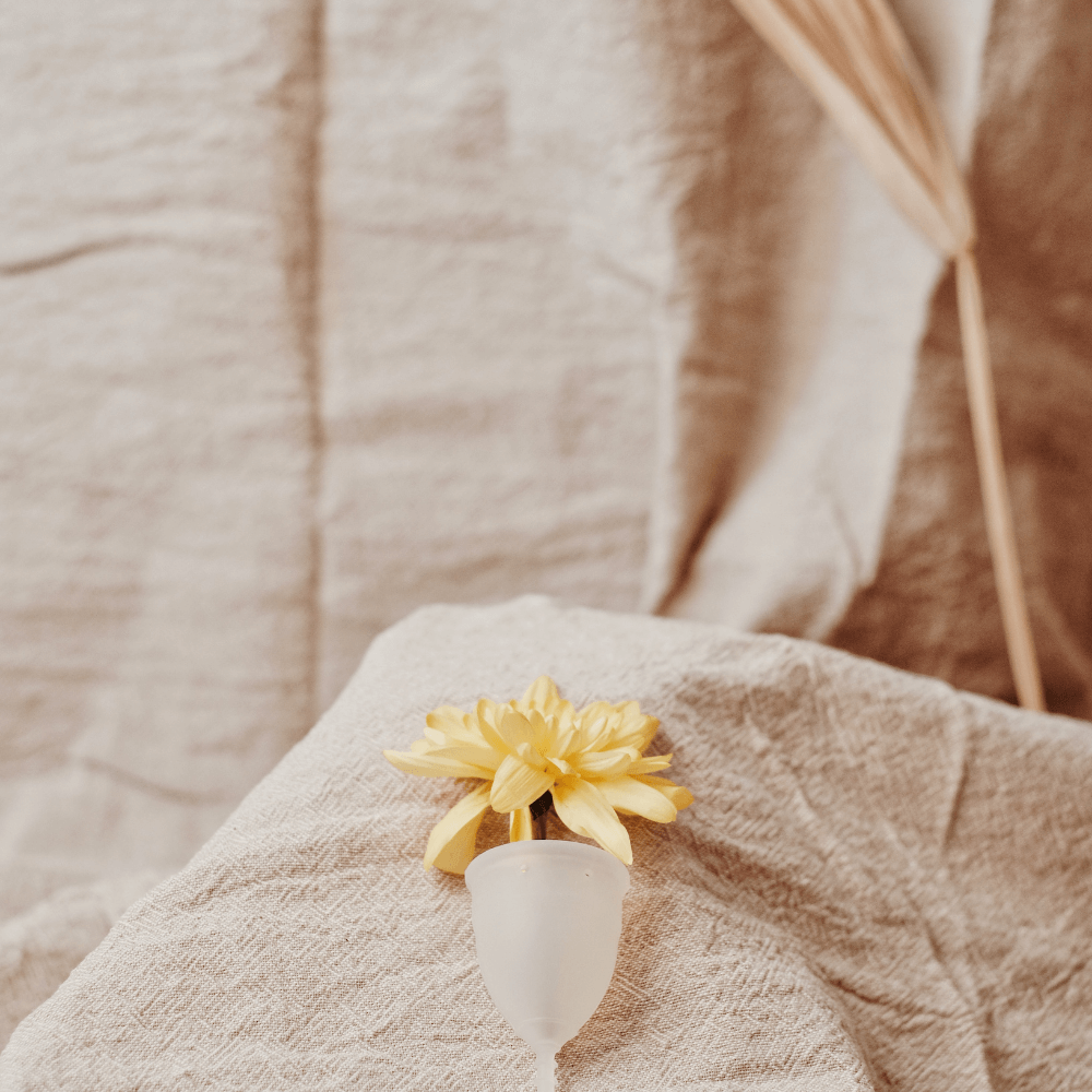 Menstruationstasse aus Liebe zur Umwelt